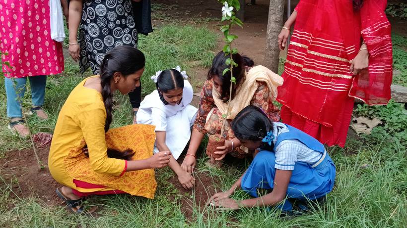 Young people planting saplings together
