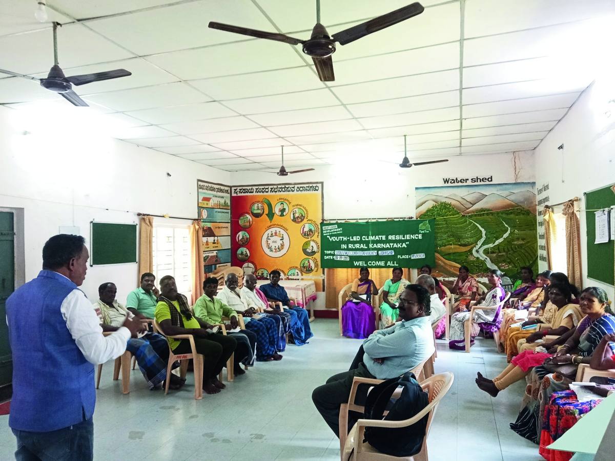Pipal Tree project photo